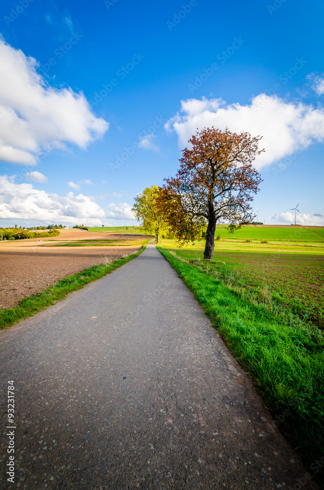 Fototapeta premium Lämmerberg