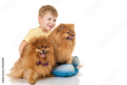 Little boy with two dog spitz, isolated on white background