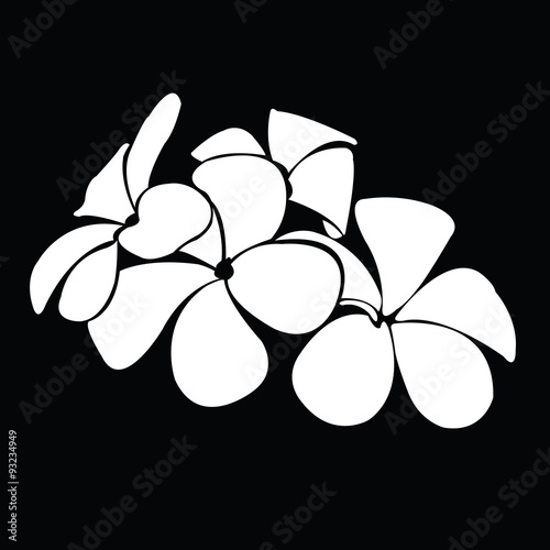 frangipani silhouettes for design vector