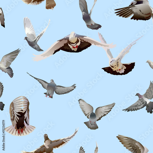 dove
