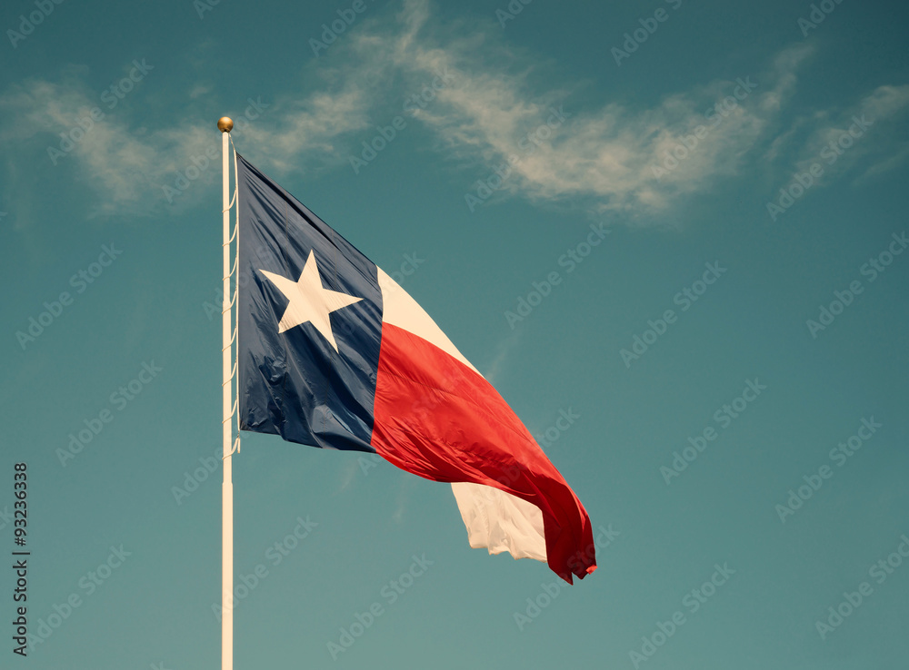 Naklejka premium State flag of Texas against blue sky