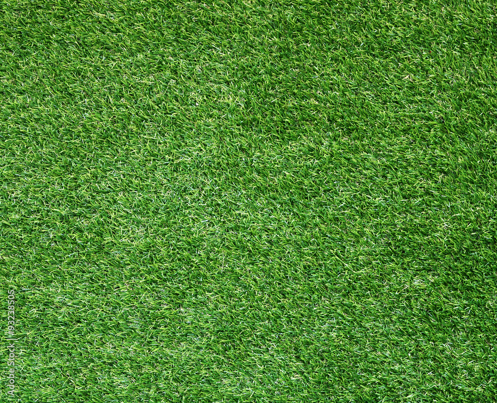 Obraz premium Beautiful green grass texture