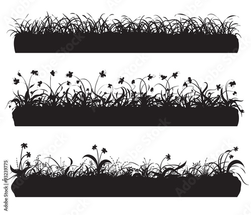 silhouette of grass