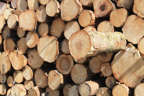 Fotografie Rondins de bois