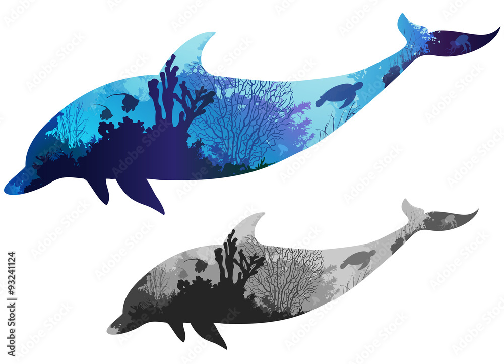 Fototapeta premium dolphin