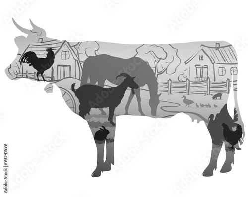 cow