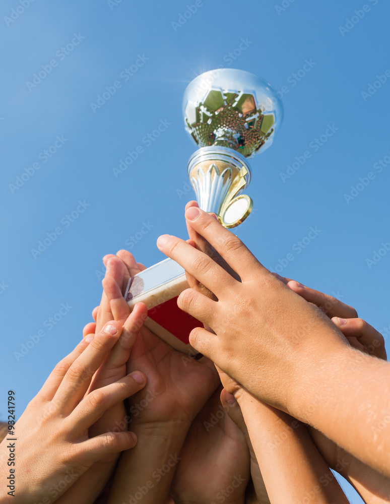 Obraz premium cup in soccer kids