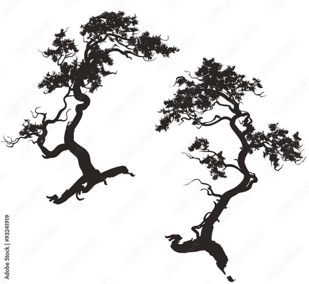 silhouettes of pine trees silhouettes of pine trees