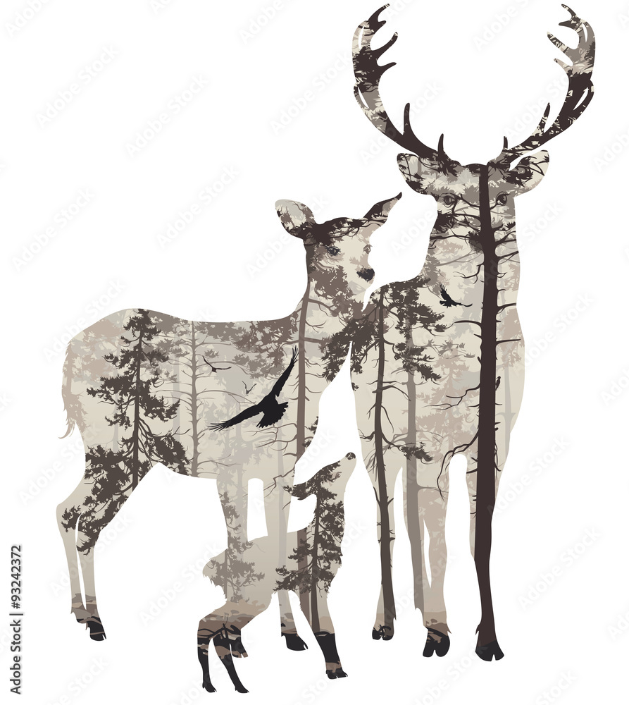 Fototapeta premium deer family
