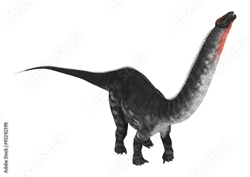 Dinosaur Apatosaurus © photosvac