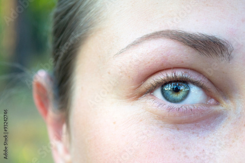 Single eye in the forest