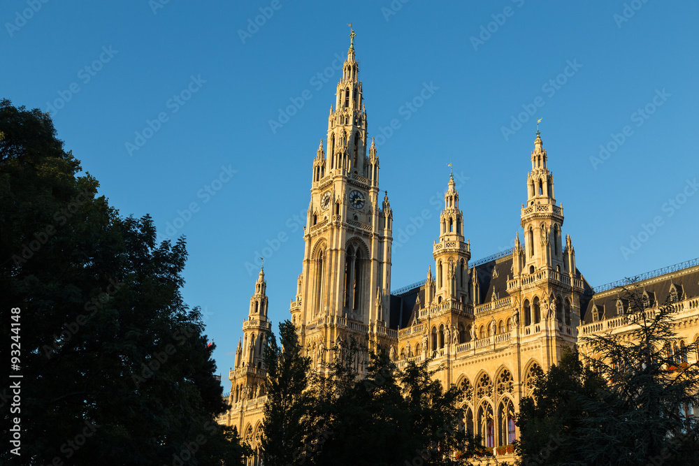 Rathaus in Vienna in the Morning