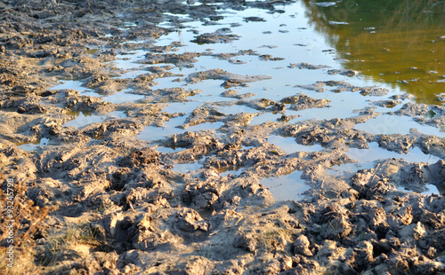 mud