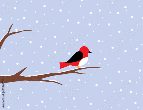 Red robin on a birch in snow