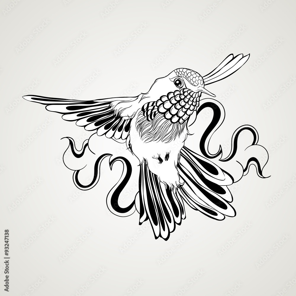 Fototapeta premium Hand drawn flying humming bird vintage style.