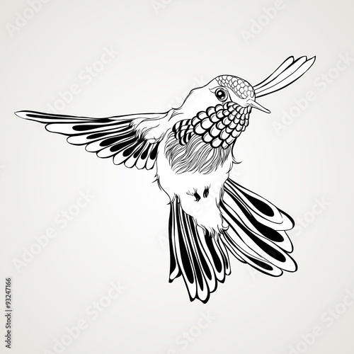 Hand drawn flying humming bird vintage style.