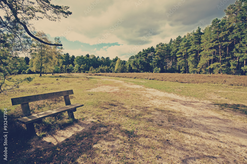 bench in a park