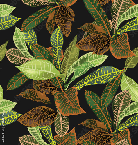 pattern