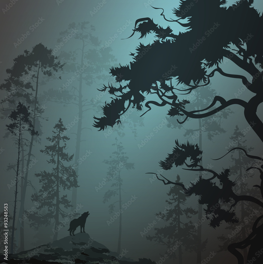 Naklejka premium foggy landscape with silhouette of forest, pine trees and wolf, moonlight
