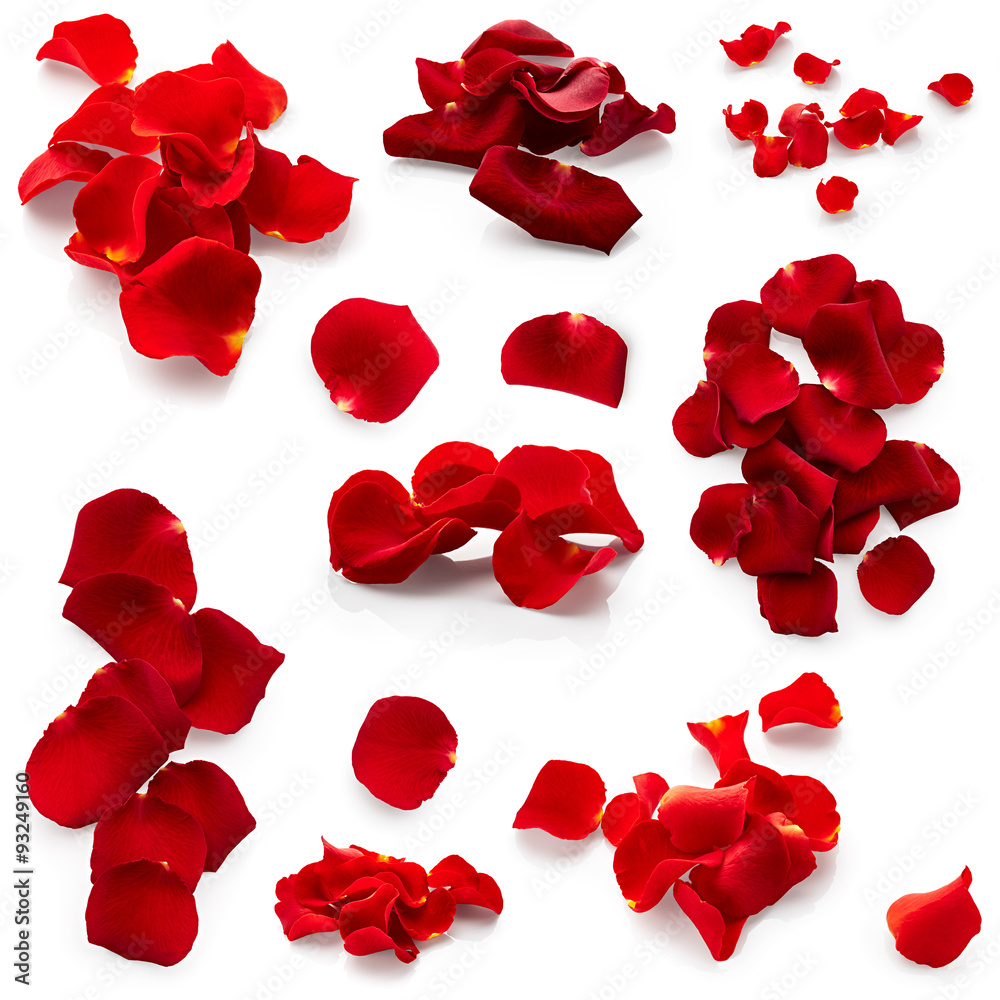 Obraz premium Set of rose petals