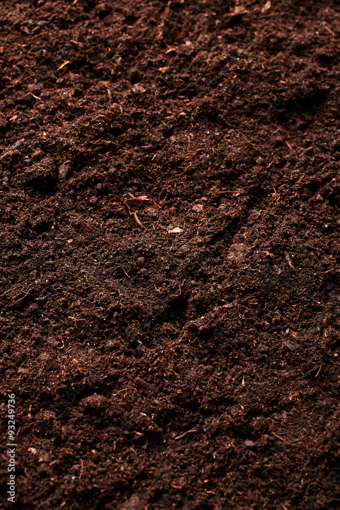 Soil background Soil background