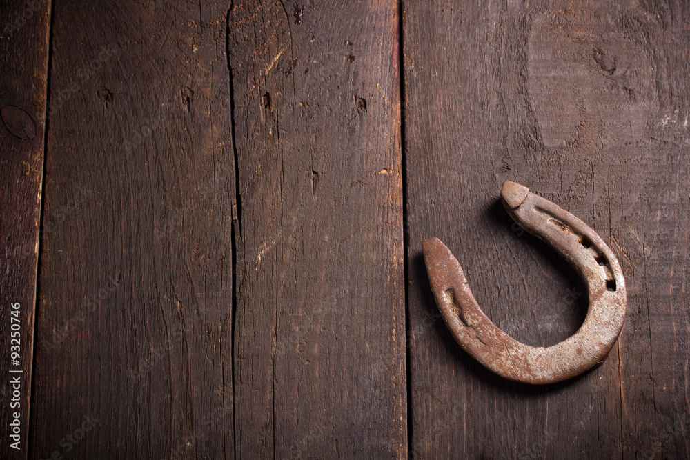horseshoe horseshoe