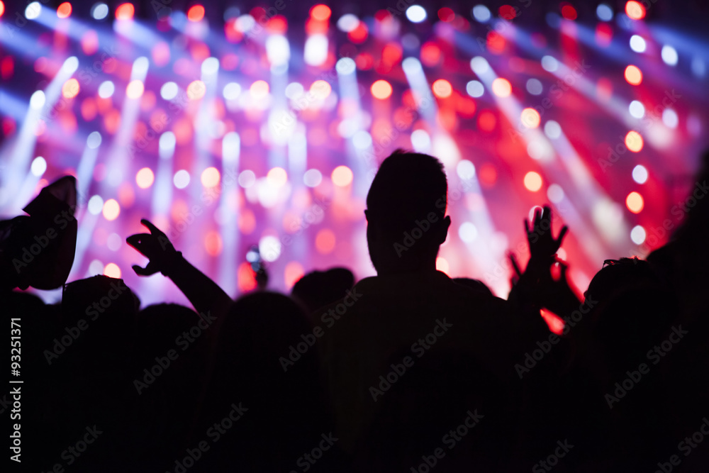 Crowd at concert