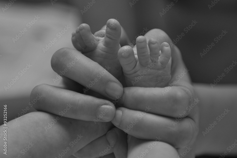 newborn newborn