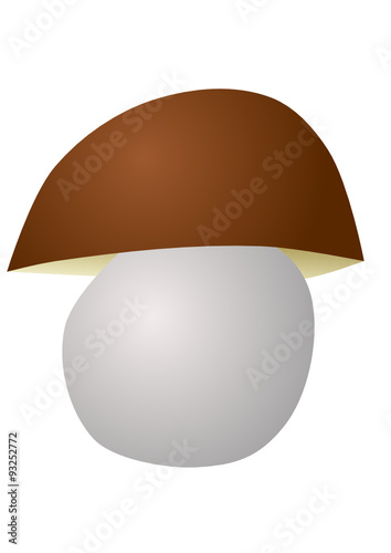edible wild boletus mushroom