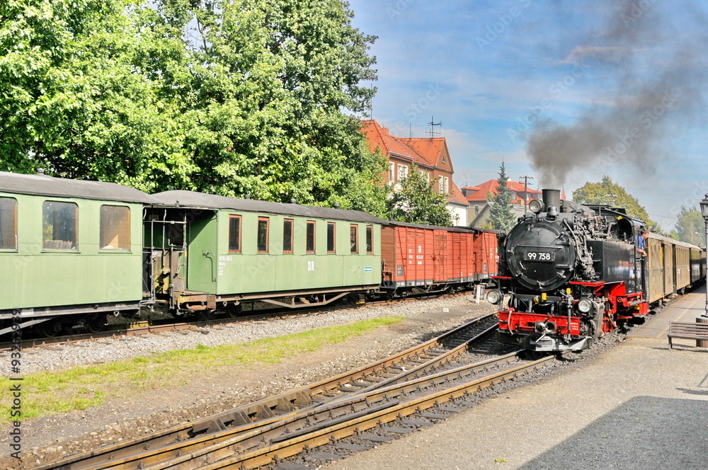 Obraz premium Zittauer Schmalspurbahn, #1154
