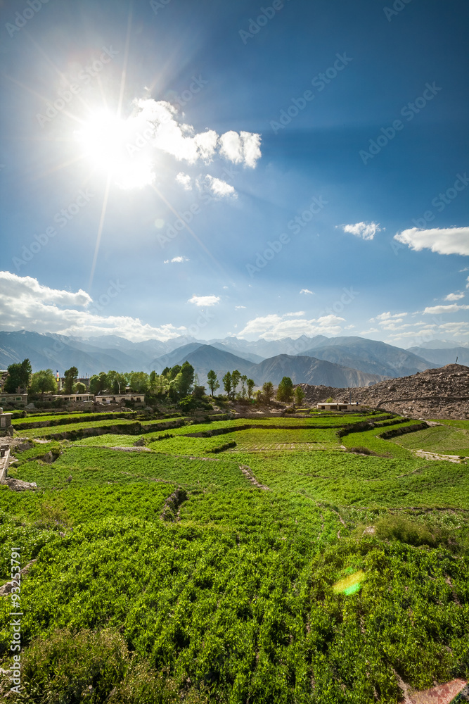Agricultural field Spiti Valley, Himachal Pradesh, India Agricultural field Spiti Valley, Himachal Pradesh, India