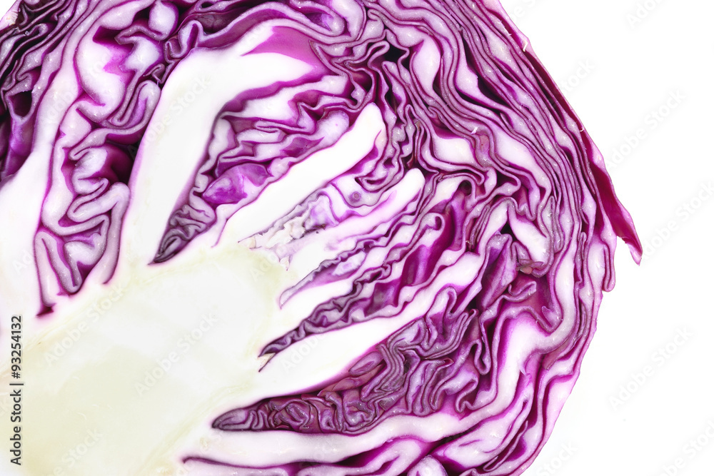 Obraz premium fresh red cabbage on a white background