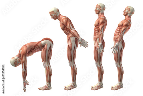 3D medical figure showing trunk flexion, extension and hyerexten photo