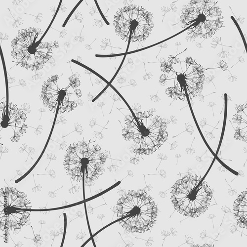 Fototapeta Naklejka Na Ścianę i Meble -  dandelion