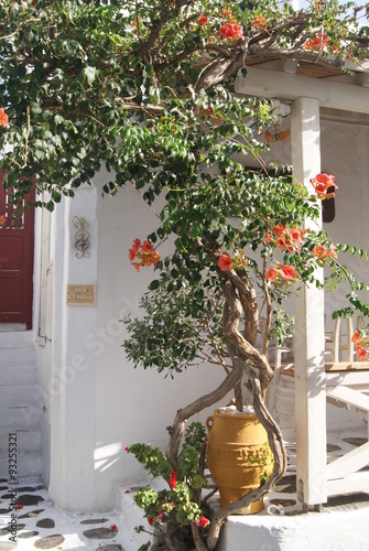 mykonos