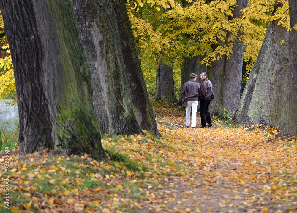 senior couple walking in parkway