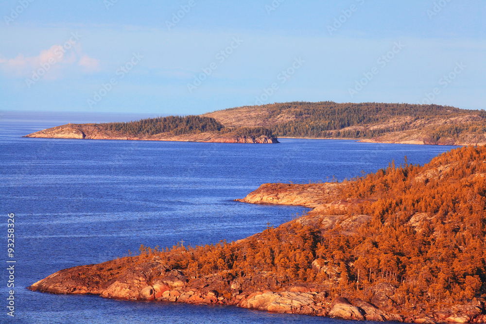 Naklejka premium autumn landscape in nature