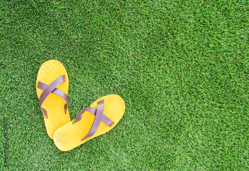 sandal on green grass background