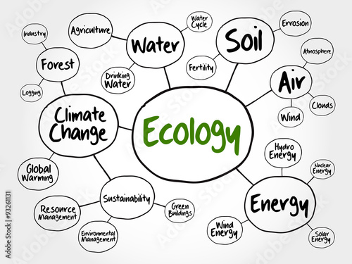 Ecology mind map flowchart concept for presentations and reports