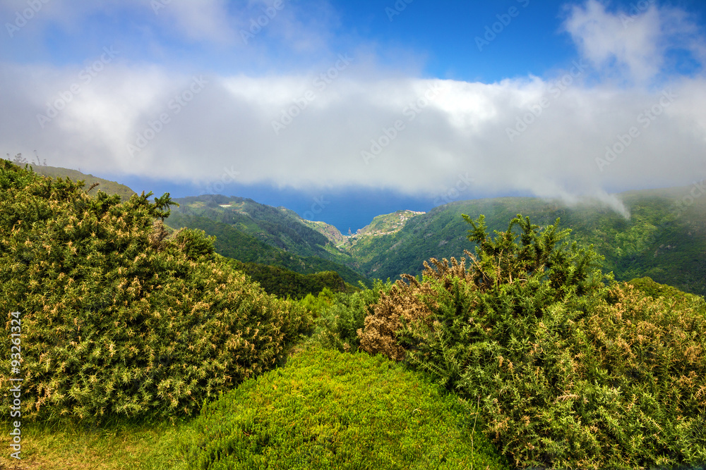 Green hills natural landscape, Madeira island, Portugal