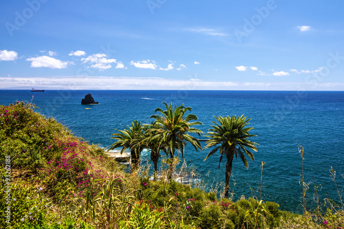 Tropical beach ocean view, Funchal, Madeira