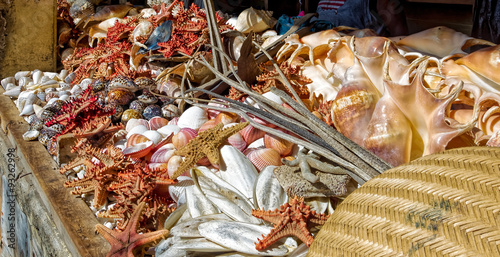 Asssorted sea shells at seafood market