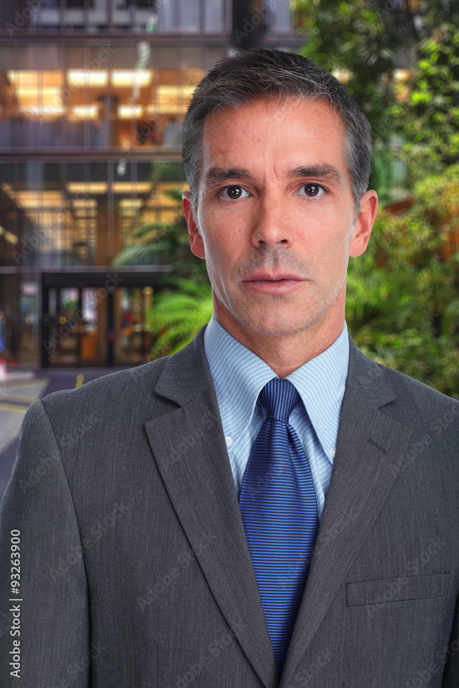 Fototapeta premium Handsome businessman.