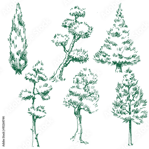Vector trees