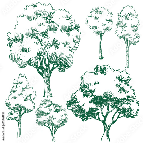 Vector trees