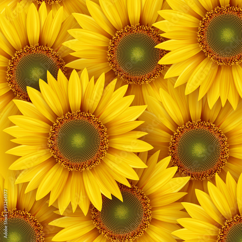 Fototapeta Naklejka Na Ścianę i Meble -  Sunflowers background