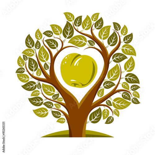 Vector illustration of tree with leaves and branches