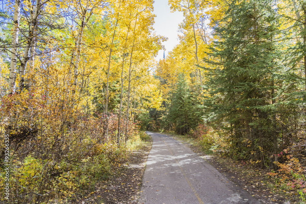 A walk in Fall