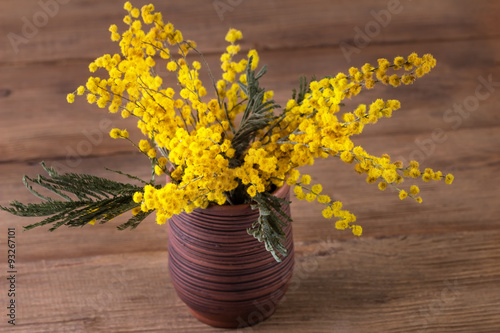 mimosa in a vase