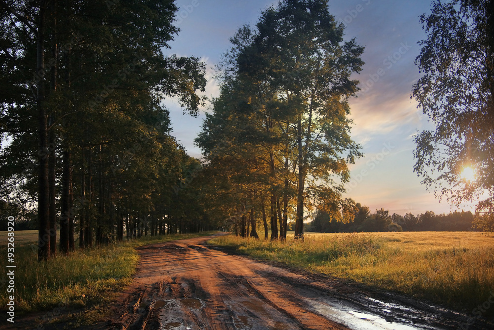 Fototapeta premium old road on the ranch